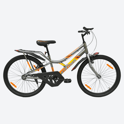 24T RoadFire IC VB